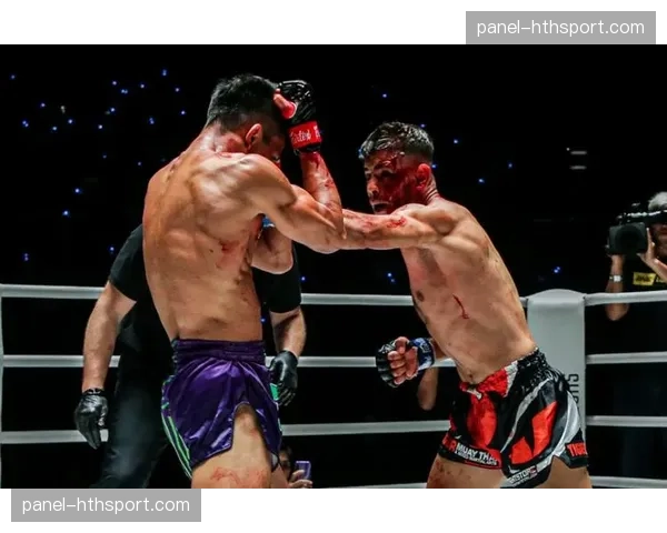 特写：裁判终止比赛瞬间，被TKO选手眼中闪过的不甘与释然