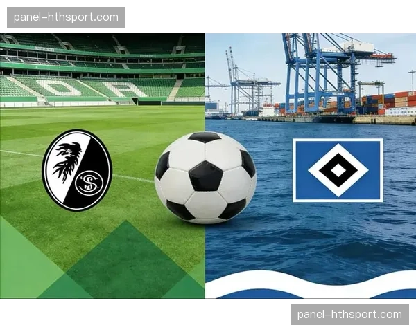 环保新举措:弗赖堡主场成为德甲首个全面使用绿色电力的球场 环保新举措:弗赖堡主场成为德甲首个全面使用绿色电力的球场